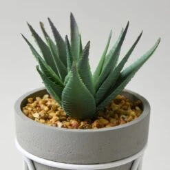 Dunelm Aloe Vera Succulent In Grey Tripod Pot -Decoration Store 1000148842 alt02