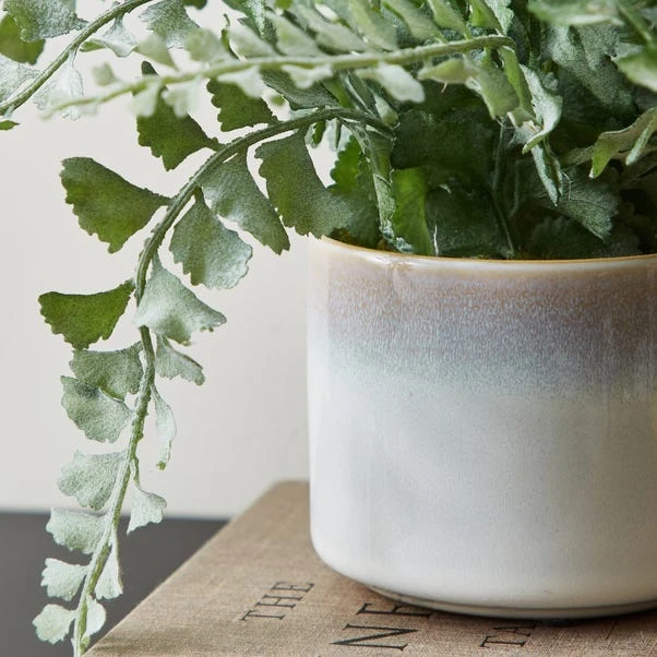 Dunelm Artificial Frosted Fern In Reactive Ceramic Pot 30cm 2 Dunelm Artificial Frosted Fern In Reactive Ceramic Pot 30cm - Image 2
