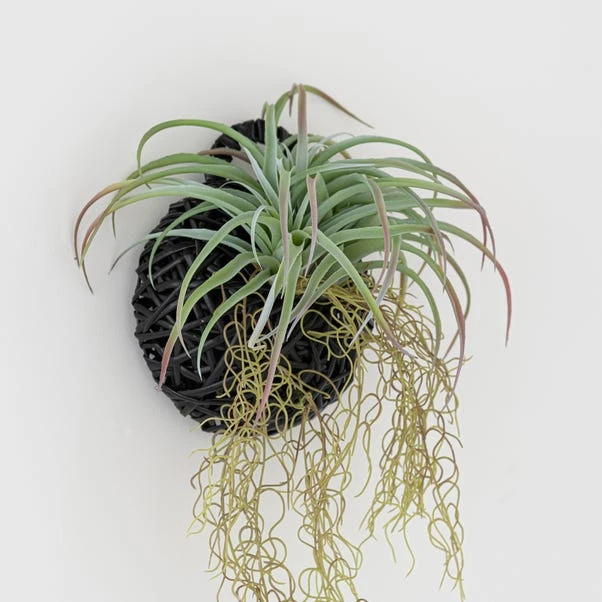 Dunelm Hanging Grass In Black Basket 2 Dunelm Hanging Grass In Black Basket - Image 2