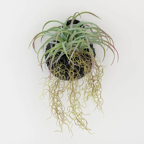 Dunelm Hanging Grass In Black Basket 3 Dunelm Hanging Grass In Black Basket - Image 3