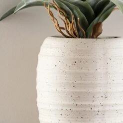 Dunelm Artificial Dracaena Plant In Pot -Decoration Store 1000183214 alt02