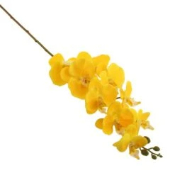 Dunelm Yellow Real Touch Phalaenopsis 3 Pack -Decoration Store 1000184163 alt02