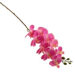 Dunelm Fuchsia Real Touch Phalaenopsis 3 Pack 5 Dunelm Fuchsia Real Touch Phalaenopsis 3 Pack -Decoration Store 1000184164 alt02