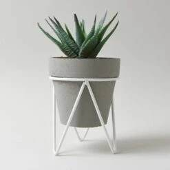 Dunelm Aloe Vera Succulent In Grey Tripod Pot