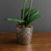 Dunelm Artificial Orchid White In Silver Pot 50cm