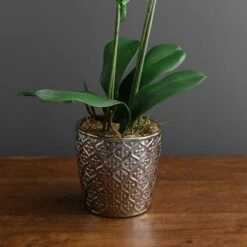 Dunelm Artificial Orchid White In Silver Pot 50cm