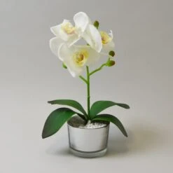 Dunelm White Orchid In Silver Glass Pot 26cm