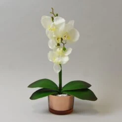 Dunelm Cream Orchid In Gold Glass Pot 28cm