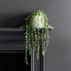 Dunelm Trailing Eucalyptus In Textured Pot