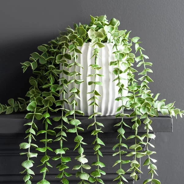 Dunelm Trailing Eucalyptus In Textured Pot 2 Dunelm Trailing Eucalyptus In Textured Pot - Image 2