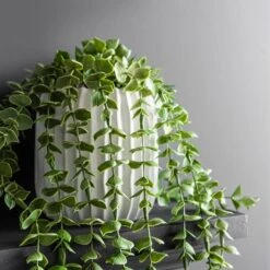 Dunelm Trailing Eucalyptus In Textured Pot 8 Dunelm Trailing Eucalyptus In Textured Pot -Decoration Store 30724513 alt04