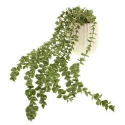 Dunelm Trailing Eucalyptus In Textured Pot 9 Dunelm Trailing Eucalyptus In Textured Pot -Decoration Store 30724513 alt05