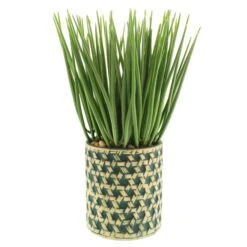 Dunelm Sword Grass In Ceramic Pot 38cm -Decoration Store 30724518 alt02