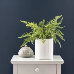Dunelm Fern In Ceramic Pot 45cm