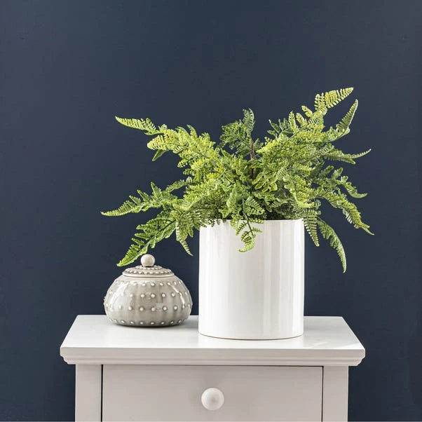 Dunelm Fern In Ceramic Pot 45cm 1 Dunelm Fern In Ceramic Pot 45cm