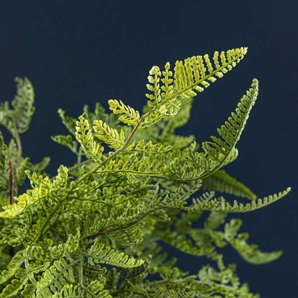 Dunelm Fern In Ceramic Pot 45cm 2 Dunelm Fern In Ceramic Pot 45cm - Image 2