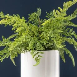 Dunelm Fern In Ceramic Pot 45cm 6 Dunelm Fern In Ceramic Pot 45cm -Decoration Store 30724522 alt02
