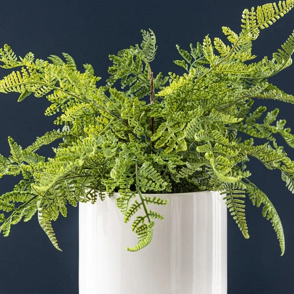 Dunelm Fern In Ceramic Pot 45cm 3 Dunelm Fern In Ceramic Pot 45cm - Image 3