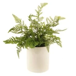 Dunelm Fern In Ceramic Pot 45cm 7 Dunelm Fern In Ceramic Pot 45cm -Decoration Store 30724522 alt03