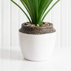 Dunelm Dracaena In Ceramic Pot 42cm 7 Dunelm Dracaena In Ceramic Pot 42cm -Decoration Store 30724523 alt02