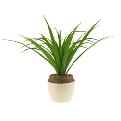 Dunelm Dracaena In Ceramic Pot 42cm 9 Dunelm Dracaena In Ceramic Pot 42cm -Decoration Store 30724523 alt04