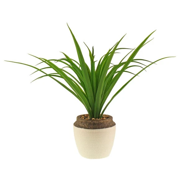 Dunelm Dracaena In Ceramic Pot 42cm 5 Dunelm Dracaena In Ceramic Pot 42cm - Image 5