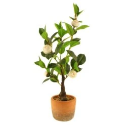 Dunelm Camellia Tree In Terracotta Planter 50cm -Decoration Store 30724533 alt04