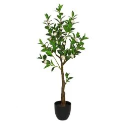 Dunelm Camellia Tree In Plastic Pot 105cm -Decoration Store 30724534 alt04