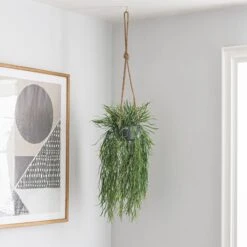 Dunelm Artificial Trailing Grass In Hanging Grey Pot