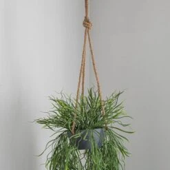 Dunelm Artificial Trailing Grass In Hanging Grey Pot -Decoration Store 30730206 alt02
