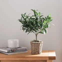 Dunelm Churchgate Artificial Olive Tree In Basket