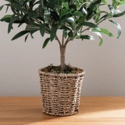 Dunelm Churchgate Artificial Olive Tree In Basket -Decoration Store 30730245 alt03