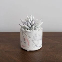 Dunelm Artificial Succulent In Pink/Grey Marble Effect Pot -Decoration Store 30730247 alt02