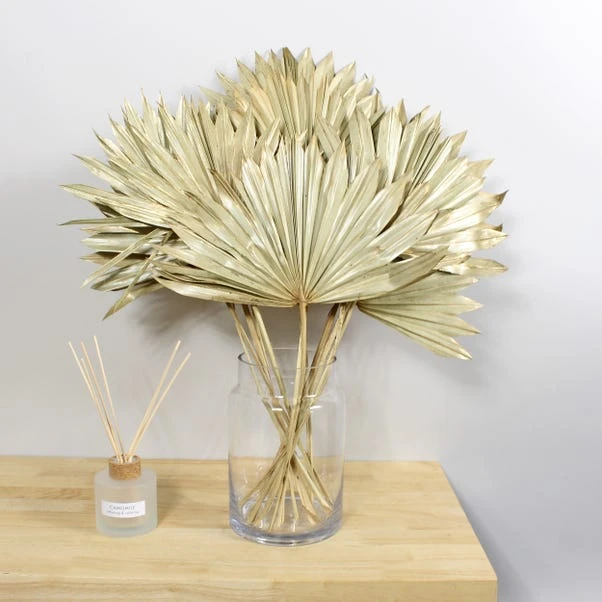 Dunelm Dried Gold Sun Spear Bundle 1 Dunelm Dried Gold Sun Spear Bundle