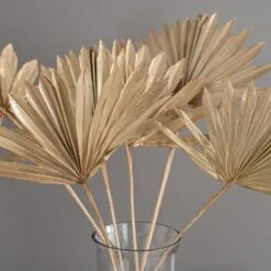 Dunelm Dried Gold Sun Spear Bundle 8 Dunelm Dried Gold Sun Spear Bundle -Decoration Store 30730255 alt03
