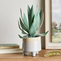 Dunelm Coastal Aloe Vera In Ceramic Pot