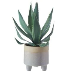 Dunelm Coastal Aloe Vera In Ceramic Pot 5 Dunelm Coastal Aloe Vera In Ceramic Pot -Decoration Store 30732424 alt02