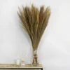 Dunelm Dried Broom Grass Natural 100cm
