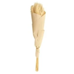 Dunelm Pack Of 12 Dried Bleached Nanal Bundle -Decoration Store 30747113 alt04