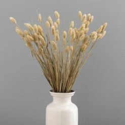 Dunelm Natural Dried Phalaris Bundle -Decoration Store 30747114 alt03