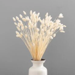 Dunelm Dried Bleached Phalaris Bundle -Decoration Store 30747115 alt03