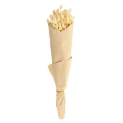 Dunelm Dried Bleached Phalaris Bundle -Decoration Store 30747115 alt04