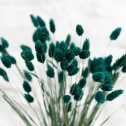 Dunelm Teal Dried Phalaris Bundle -Decoration Store 30747116 alt02