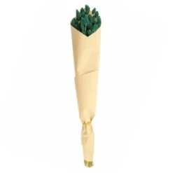 Dunelm Teal Dried Phalaris Bundle -Decoration Store 30747116 alt04