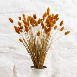 Dunelm Dried Ochre Phalaris Bundle -Decoration Store 30747117 alt04