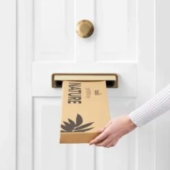 Dunelm Daisy And Delphinium Letterbox Bouquet -Decoration Store 30748821 alt04