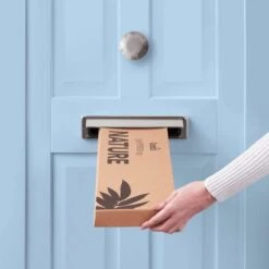 Dunelm Lavender And Foliage Letterbox Bouquet -Decoration Store 30748824 alt04