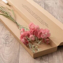 Dunelm Eucalyptus Foxtail And Fern Letterbox Bouquet 9 Dunelm Eucalyptus Foxtail And Fern Letterbox Bouquet -Decoration Store 30748825 alt03