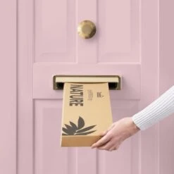 Dunelm Eucalyptus Foxtail And Fern Letterbox Bouquet 10 Dunelm Eucalyptus Foxtail And Fern Letterbox Bouquet -Decoration Store 30748825 alt04