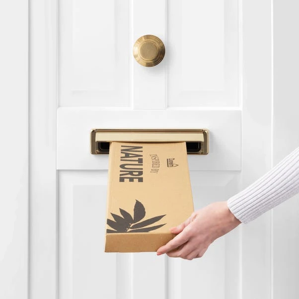 Dunelm Bamboo And Astilbe Letterbox Bouquet 5 Dunelm Bamboo And Astilbe Letterbox Bouquet - Image 5